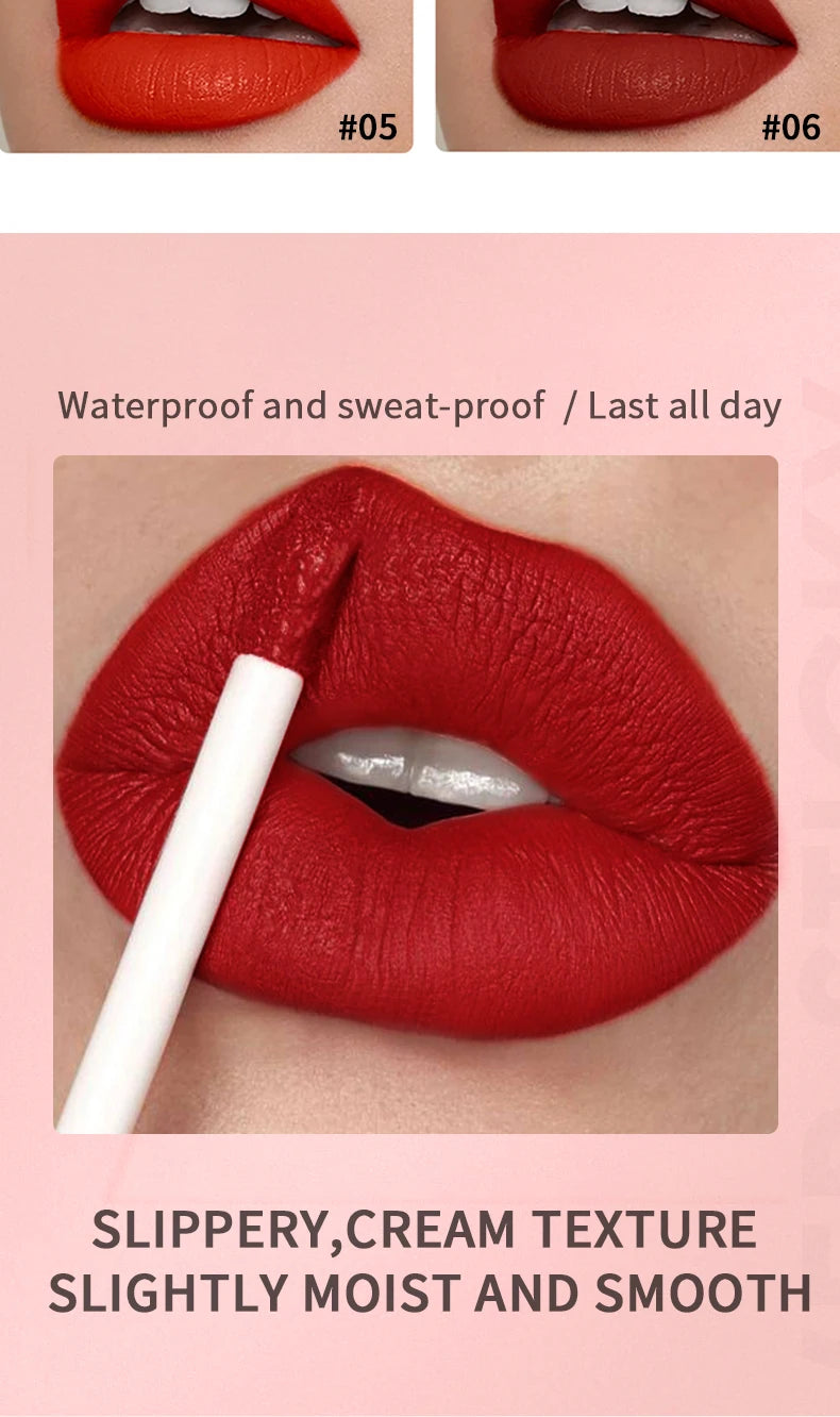 Velvet Matte Waterproof Lip Gloss